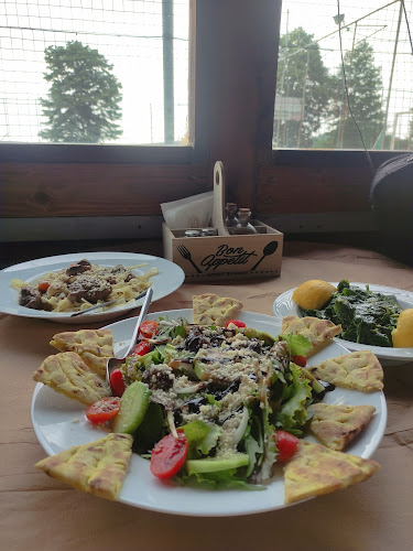 Το Στέκι Του Αρκούδου - Αρκοχώρι