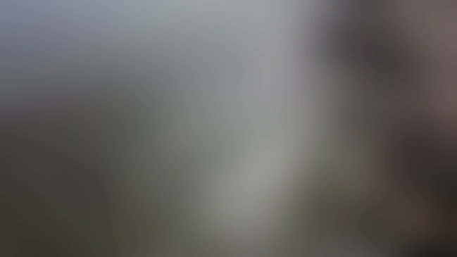 Comentarii opinii despre Steki Grill Restaurant