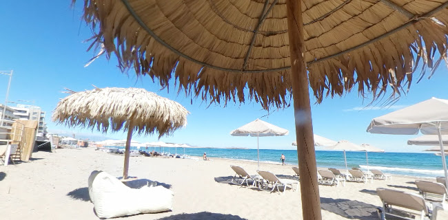 Comentarii opinii despre Cactus