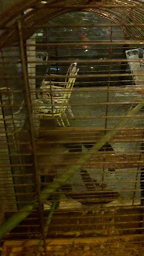 Ascot Pizza Αιγάλεω