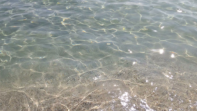 Fifty-fifty cafe restaurant