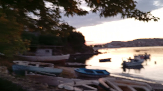 Molos Seaside Restaurant Nea Roda