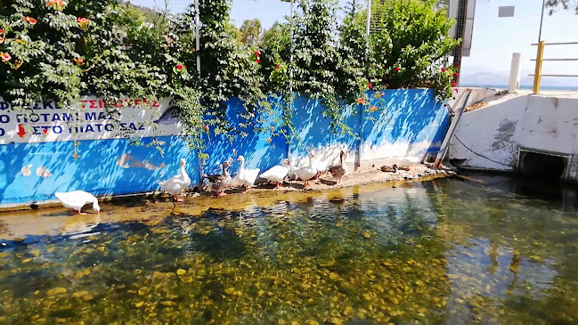 Μπαταρόλας - Γαστρονομία και φιλοξενία