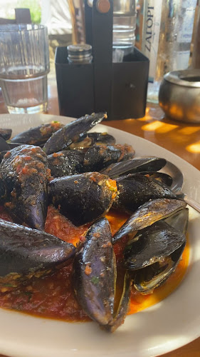 Comentarii opinii despre Fokos