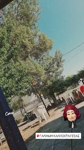 Snack - Bar - Galini