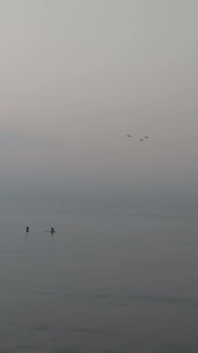 Comentarii opinii despre Le Petit