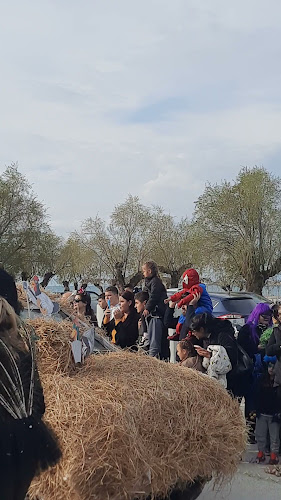Το Κάτι άλλο - Βραχάτι