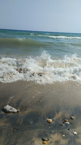 Opinii despre Pueblo în Τρίγλια - Γαστρονομία και φιλοξενία