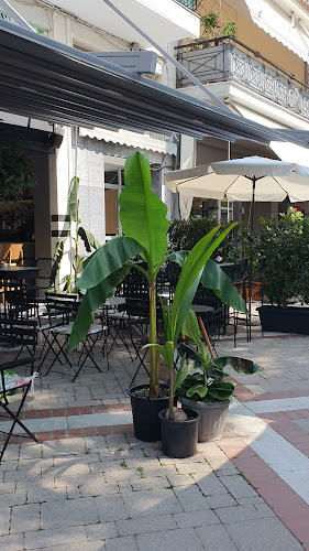 Opinii despre Sorelle Cafe în Ασπροβάλτα - Γαστρονομία και φιλοξενία