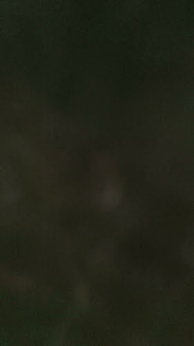 Κονεκτίβα - Λάρισα