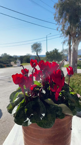 Opinii despre Μαρίδα Σούνιο în Σούνιο - Γαστρονομία και φιλοξενία