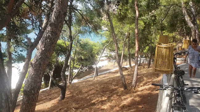 Comentarii opinii despre Blublanc Beach