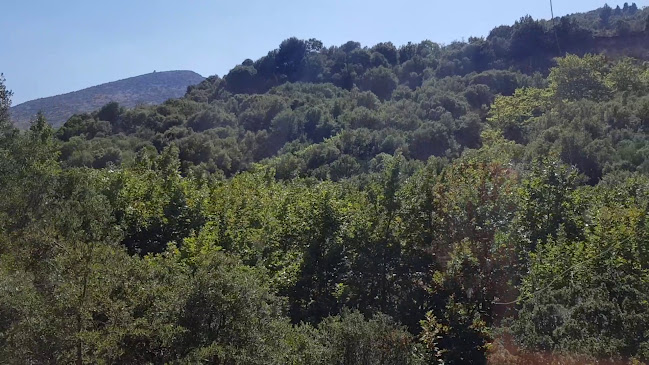 Παλαιών Πατρών Γερμανού 28, Καλάβρυτα 250 01