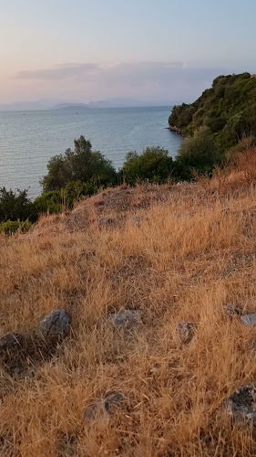 Μαρίνα Βόνιτσας - Γαστρονομία και φιλοξενία