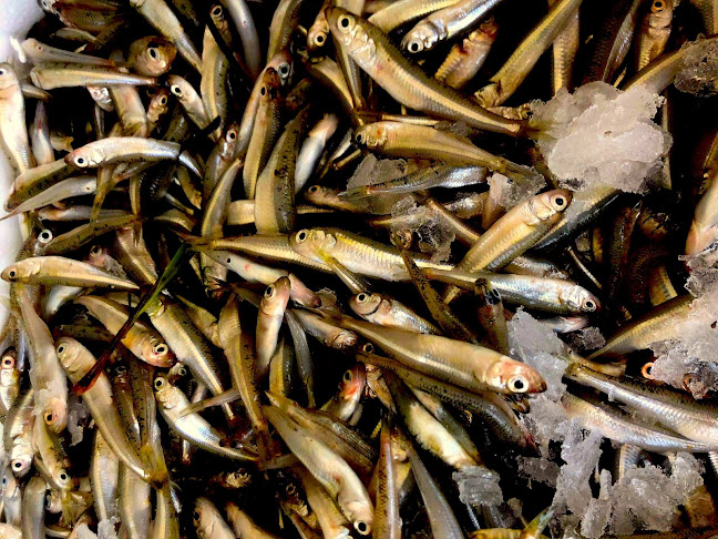 Opinii despre Ψαροταβέρνα Νέα Ζωή Πέππας în Κάλαμος - Γαστρονομία και φιλοξενία