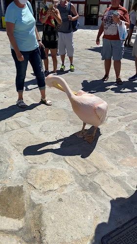 Kadena - Μύκονος