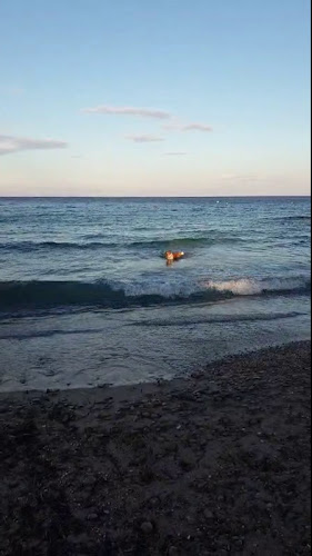 Εστιατόριο Πανόραμα - Γαστρονομία και φιλοξενία