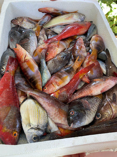 Παραλία, Παραλιακός, Κάλαμος 190 15