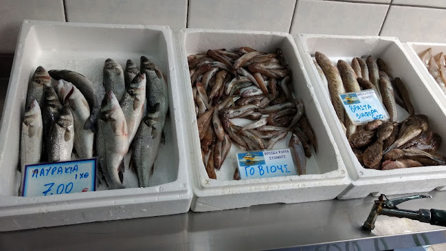 Ιχθυοπωλείο Το Στόμιο - Λάρισα