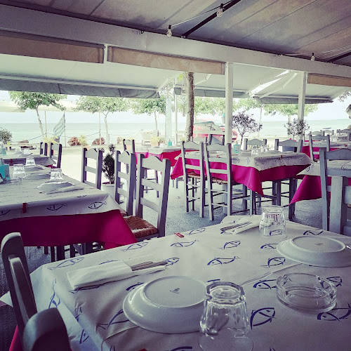 Comentarii opinii despre ΑΜΑΡΥΛΛΙΣ