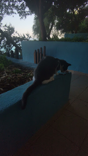 Ατσάχας - Γαστρονομία και φιλοξενία