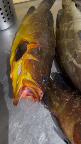 Giousouro - Νέα Αλικαρνασσός