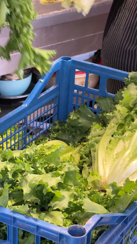 Comentarii opinii despre Τσουκνίδα