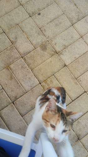 Κύμα - Λευκάδα