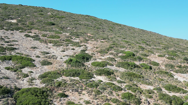 STIGMA ARCHANGELOS - ΑΓΟΥΡΟΣ ΑΝΑΣΤΑΣΙΟΣ - Αγ. Μαρίνα