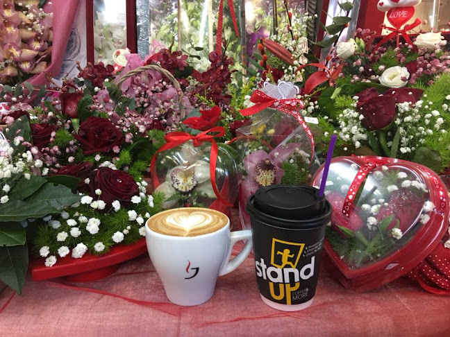 Comentarii opinii despre STAND UP CAFE