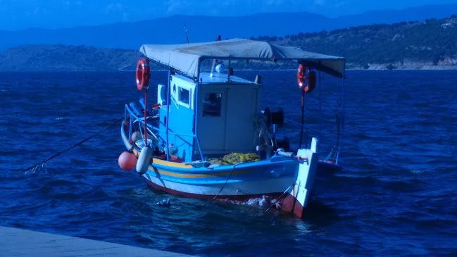 Comentarii opinii despre Pallas Cafe Bistro