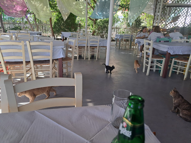 Ο ΠΕΤΡΟΣ Ταβέρνα - Πόρος