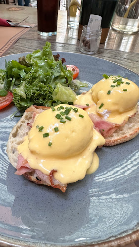 Comentarii opinii despre Upupa Epops - The bar