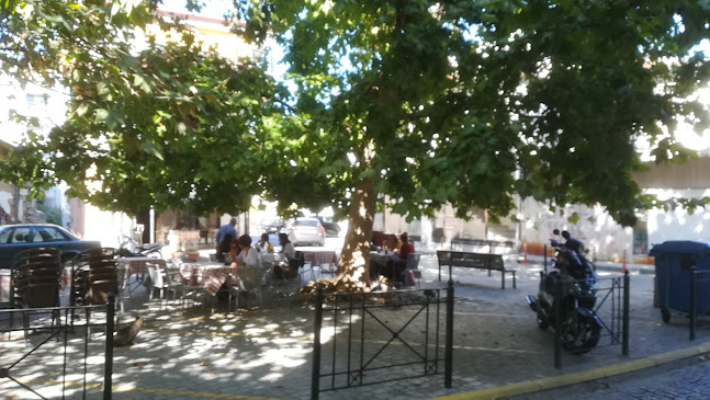 Opinii despre Ουζερί του Θοδωρή în Βέροια - Γαστρονομία και φιλοξενία