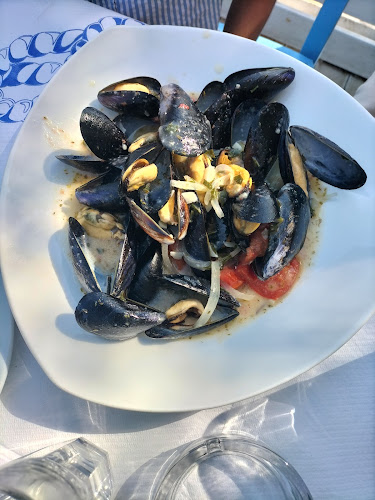 ΨΑΡΟΤΑΒΕΡΝΑ ΤΑΚΗΣ