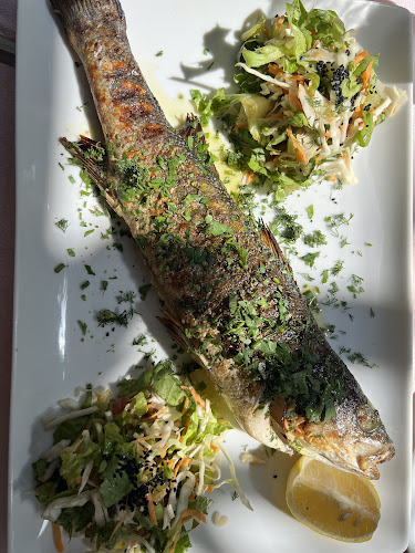 AROMA Traditional Tavern