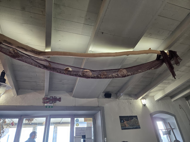 Opinii despre Το Λιμανάκι Πελασγία în Παραλία Πελασγίας - Γαστρονομία και φιλοξενία