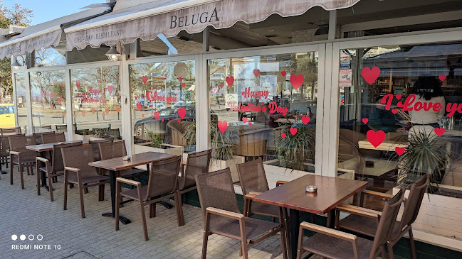 Beluga Cafe & Restaurant Bar - Γαστρονομία και φιλοξενία