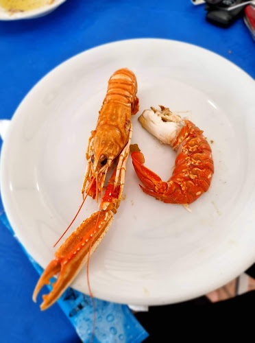 Ο Φάρος - Γαστρονομία και φιλοξενία