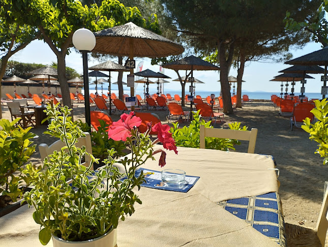 Opinii despre schinias bay în Μαραθώνας - Γαστρονομία και φιλοξενία