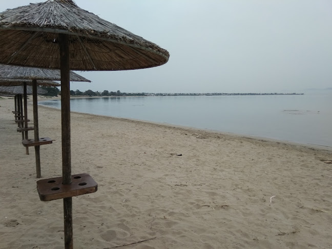 Artemis Beach - Άρτεμις