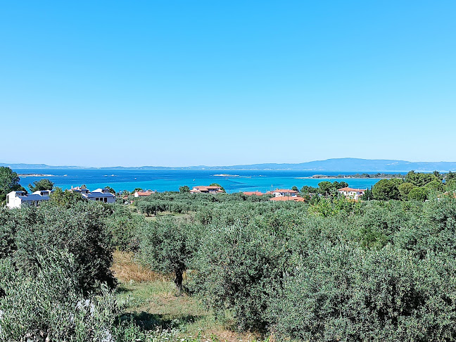 Comentarii opinii despre Pizza Ρίο