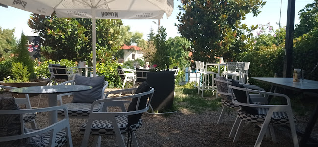 Comentarii opinii despre Belair