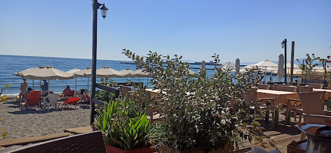 ΑΛΚΥΟΝΙΔΕΣ - Καλαμάτα