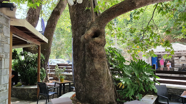 ΕΟ Νεοχωρίου Τσαγκαράδας 26, Τσαγκαράδα 370 12