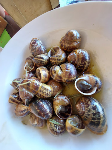 Comentarii opinii despre Taverna 1930