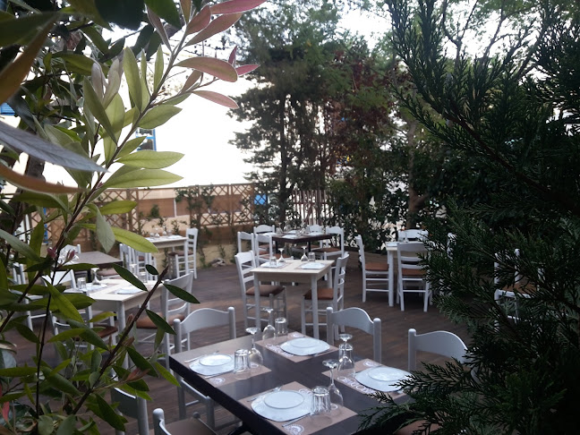 Gusto Divino | Trattoria - Pizzaria