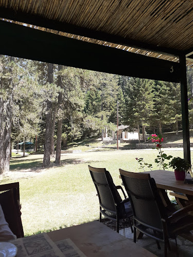 Στανη - Ιωάννινα