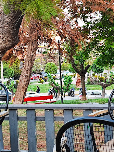 Treehouse Cafe Περιστέρι - Γαστρονομία και φιλοξενία