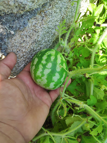 Na'Verace - Μύκονος